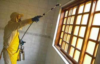 Dedetizadora Fenômeno - Foto 1