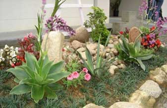 JB Jardinagem - Foto 1