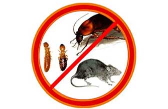 Controle De Pragas Estação - Foto 1