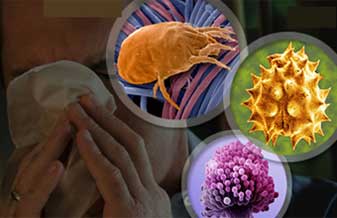 Ubs Jardim Paranapanema - Foto 1