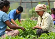 Programa ANIP BNDES Periferias