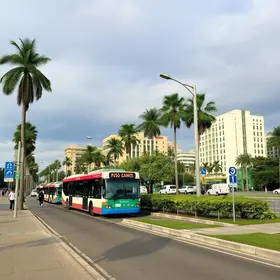 transporte público