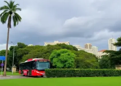 Últimas noticias de Jardim Ângela