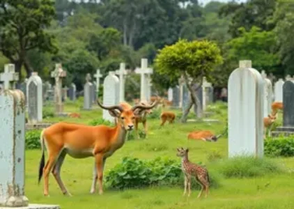 Últimas noticias de Jardim Ângela
