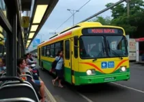 Mauá para Francisco Morato