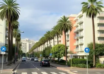 Últimas noticias de Jardim Ângela
