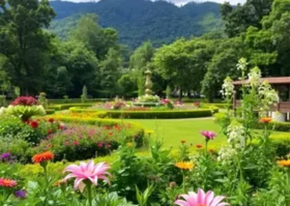 Últimas noticias de Jardim Ângela