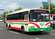 Mauá para Santana de transporte público