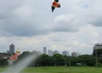 queda de pipa