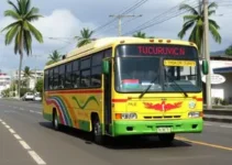 transporte público Tucuruvi Vila Guilherme
