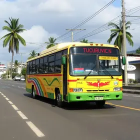 transporte público Tucuruvi Vila Guilherme