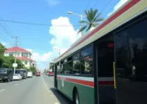 transporte público de Tamanduateí para Vila Mariana