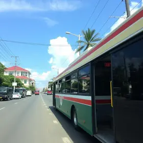 transporte público de Tamanduateí para Vila Mariana