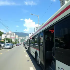 Calmon Viana para Lapa