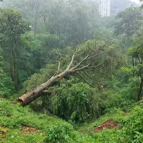 Chuvas em São Paulo