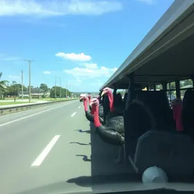 Perus para Caieiras