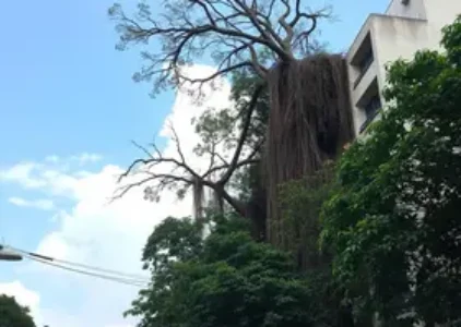 Últimas noticias de Jardim Ângela