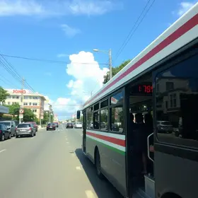 Tamanduateí para Santo André de transporte público
