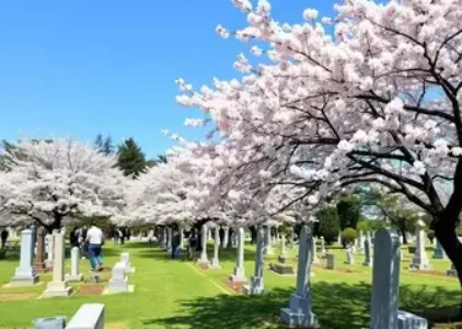 Últimas noticias de Jardim Ângela