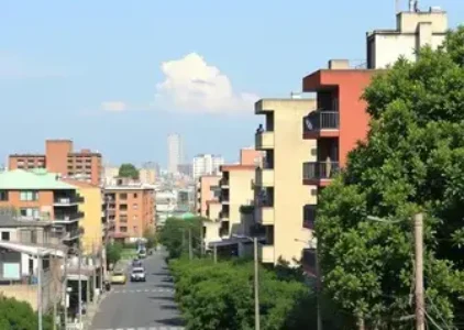 Últimas noticias de Jardim Ângela